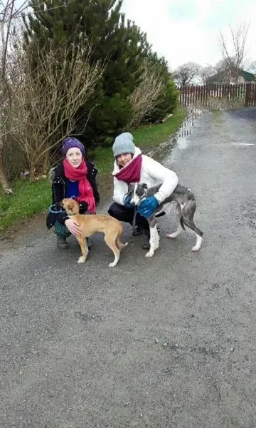 12654459 1165077556843275 382166756068314445 n