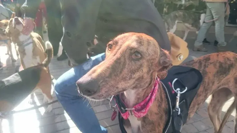 12654573 10208701502281918 3815457830105737028 n