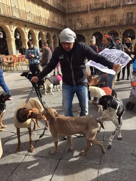 12654689 10206608390747170 4175060331647568298 n