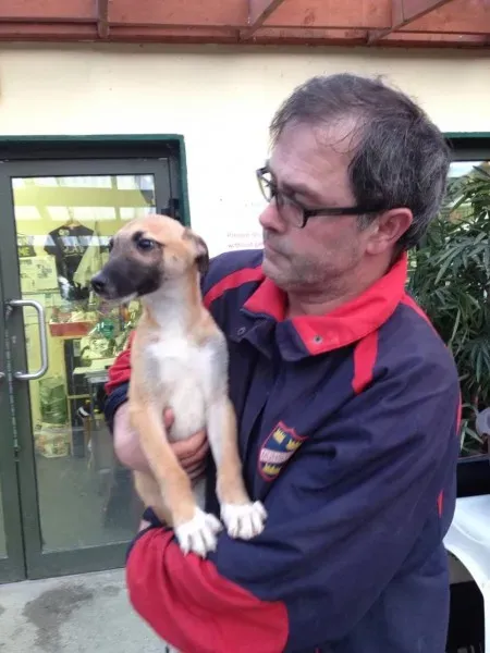 12656495 10153177722240194 632712865 o