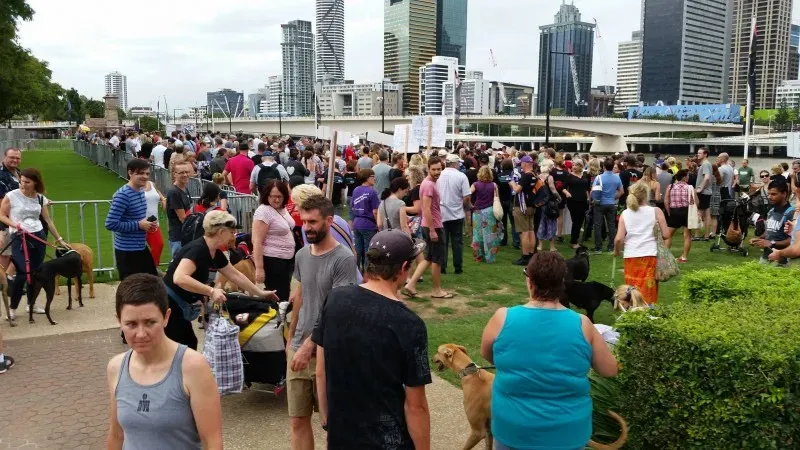 12657164 10154529300255299 4583213202501465963 o