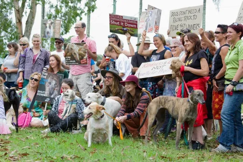 12657250 10154529330465299 3064961538020356191 o