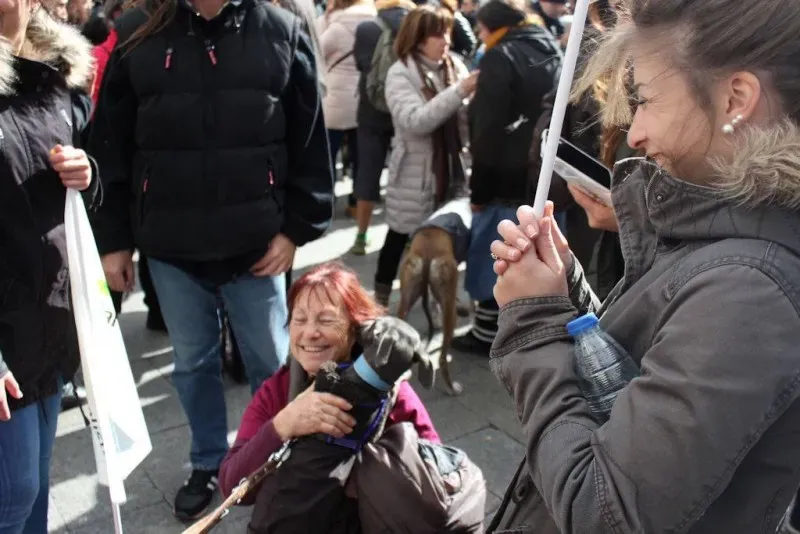 12657290 866961556765410 2457860252276854746 o