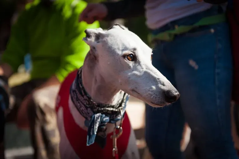 12657328 10208581142191806 691234451486599190 o