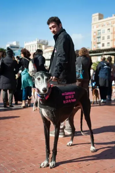 12657383 10208581117911199 4243968047961853121 o