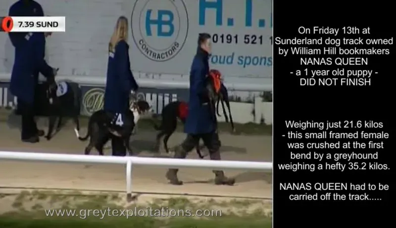 1265754 564220290297807 507386341 o