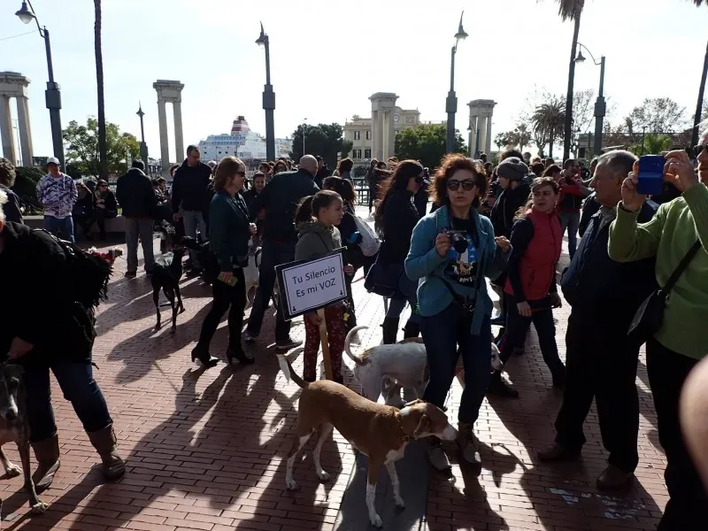 12657851 10153205713005793 474784400149656728 o