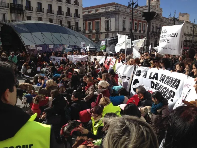 12657870 1141103832567118 6223563238157881041 o