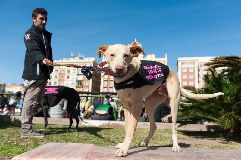 12657962 10208581118271208 7397376789336410199 o