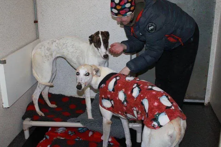 12659582 978749772216626 1650942509 n