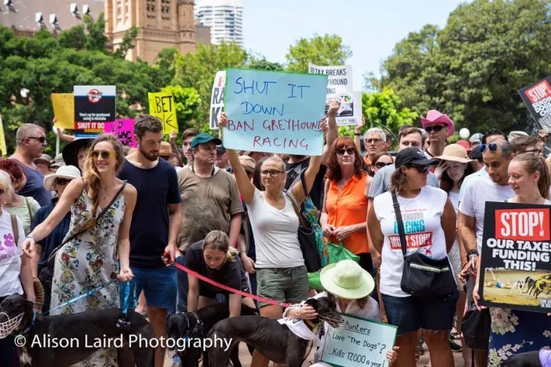 12661774 10154529269175299 5766071711356227840 n