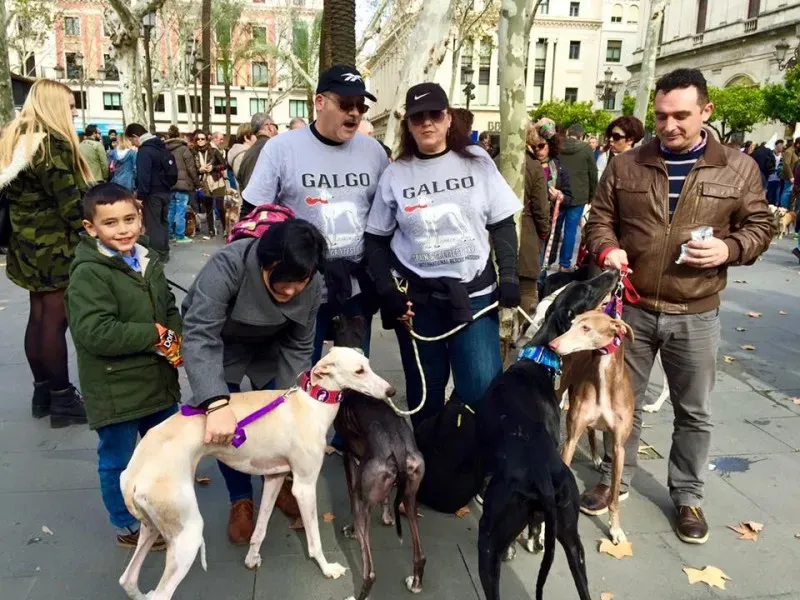 12661851 10156485539700494 5890717033314921304 n