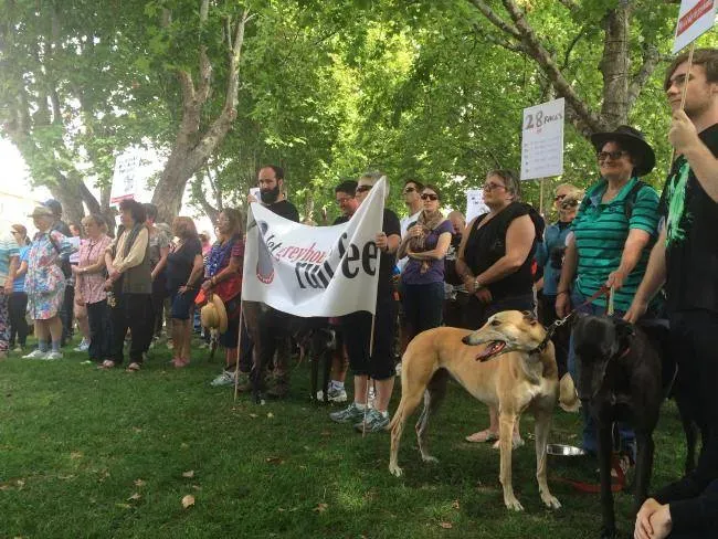 12661871 10154529307490299 9058701312758482207 n