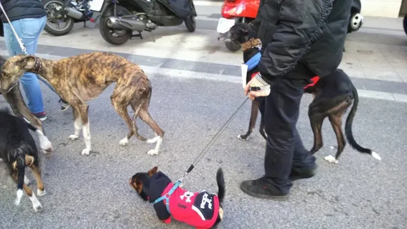 12661929 157239387989866 4694595190254804822 n