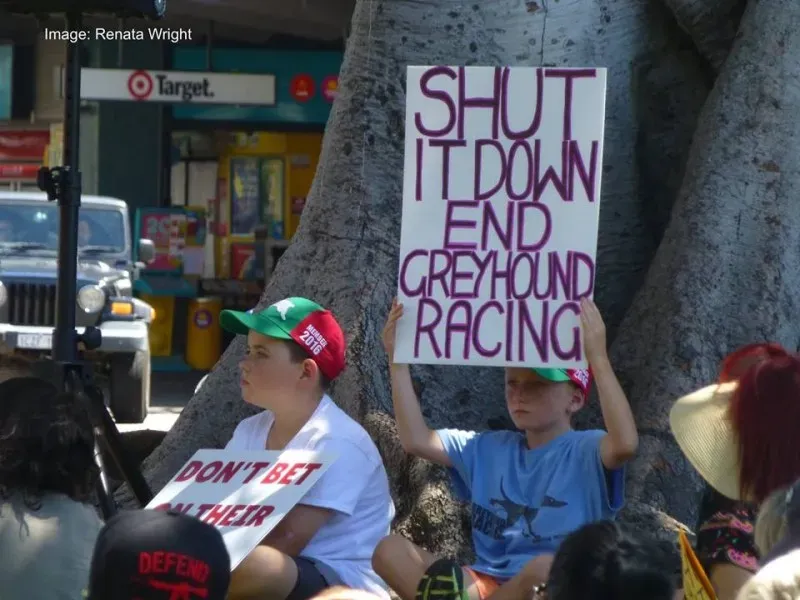 12662013 10154529303105299 7534930627168233369 n