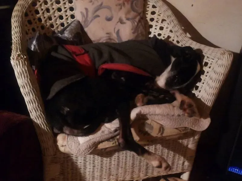 12662552 10207524870233671 8914350311053489610 n