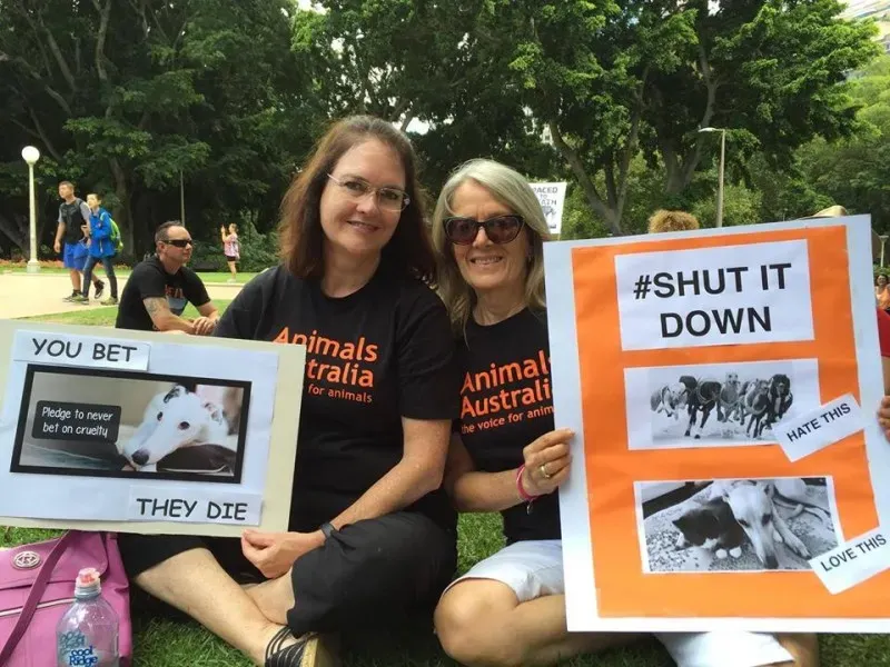 12662724 10154529269635299 3338208297100448065 n