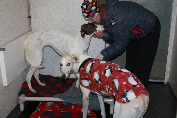 12665898 978749762216627 2040632247 n