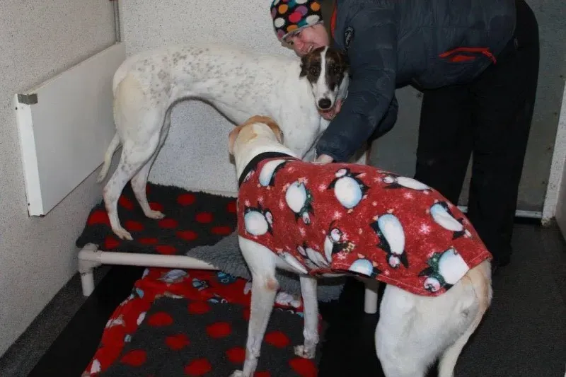 12669302 978749712216632 1211859222 o