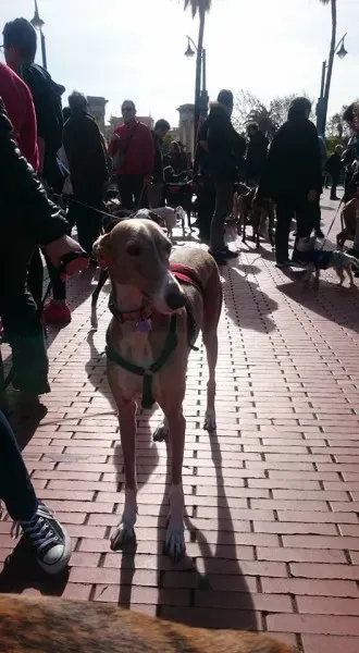 12669699 10208701502121914 2279316146178209083 n