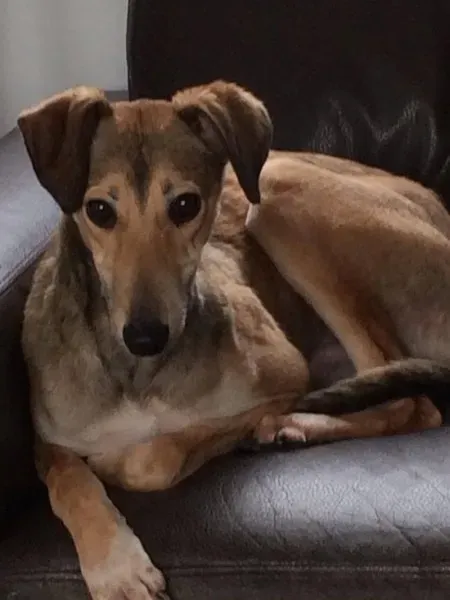 12670011 1772379109656735 1888092451 o