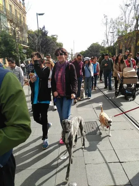 12670039 1172220029454751 5787201091044680541 n