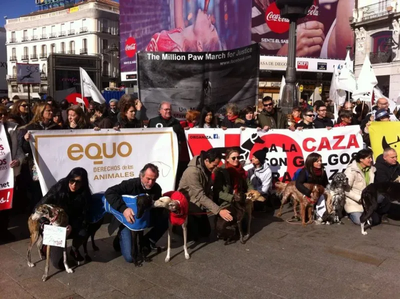 12670124 947137295383103 1706609469303604778 n