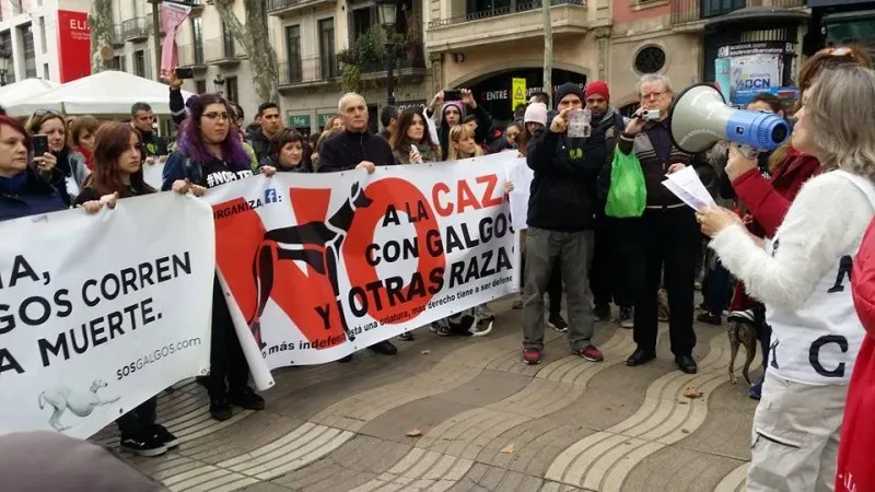 12670197 1262537260426872 3380354520752862928 n