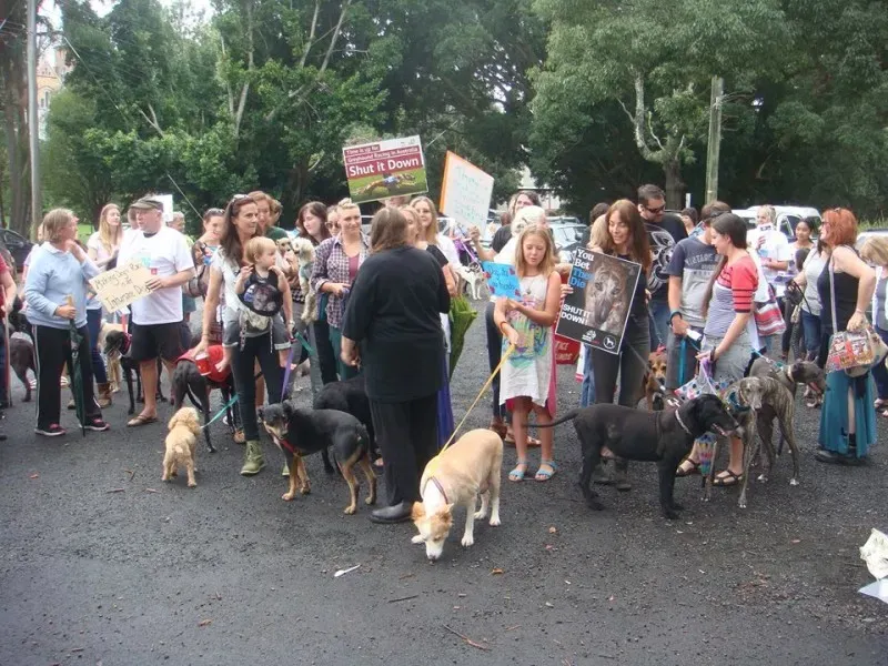 12670289 10154529326540299 4065707837498353860 n