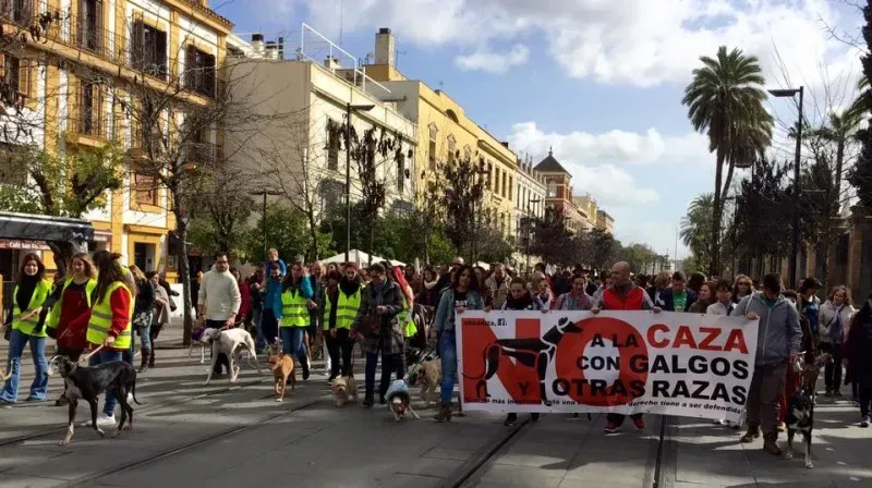 12670427 10156485539895494 2942635355385660929 n