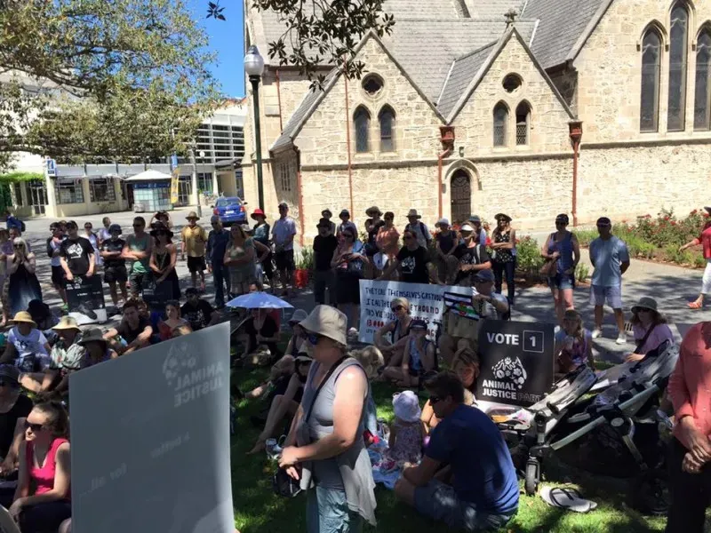 12670566 1047158758703815 151375525648665998 n