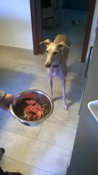 12670770 10206876562365265 4215154586086049500 n