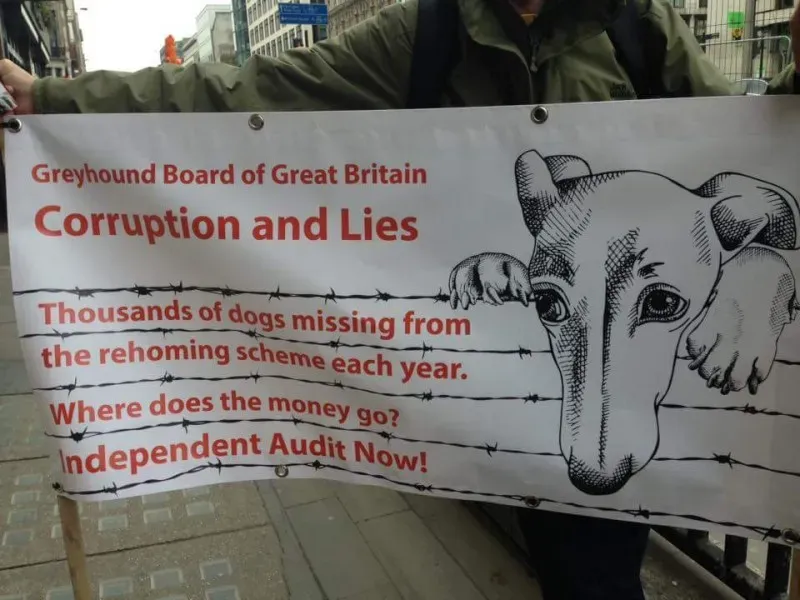 12670787 971625962945539 1641058132092999772 n