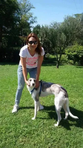 12670798 986328534784335 1357845653347251425 n