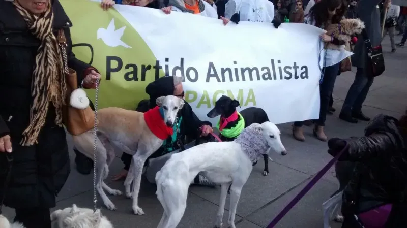 12672042 647047508767824 591363121184717006 o