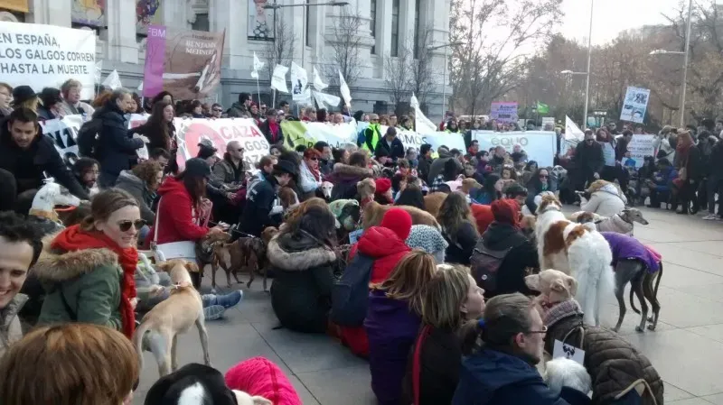 12672057 647047482101160 4385785486396373431 o