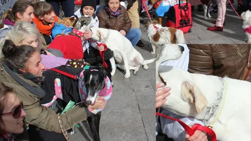 12672185 866961840098715 8705892050242120087 o