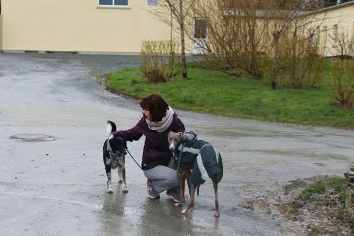 12674177 978751108883159 933800522 n