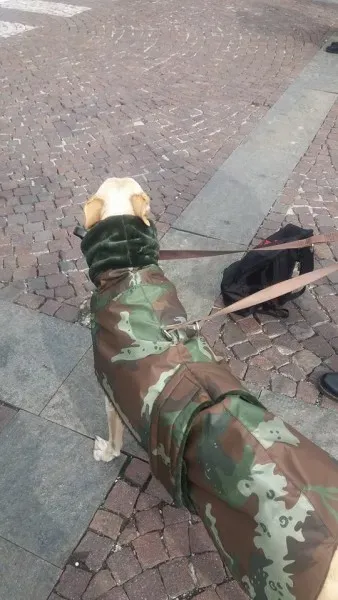 12674342 10207456876412380 1400705289 n