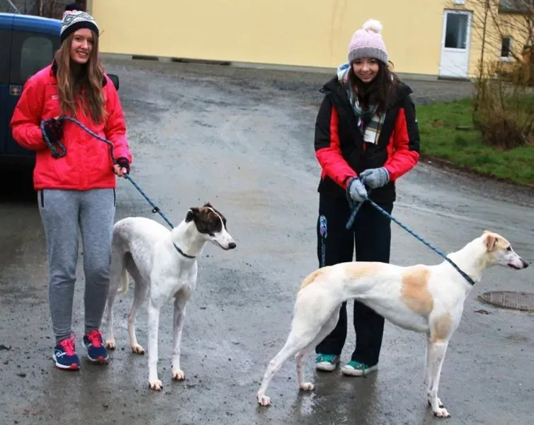 12674365 978753712216232 24886191 n