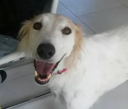 12674565 1073407216012992 1712468960 n