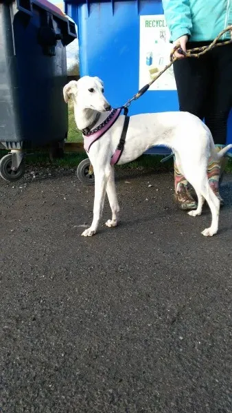 12674740 10207448488383947 1654753123 o