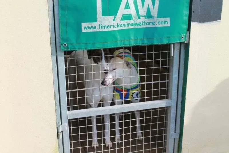 12675225 978753702216233 862529318 o