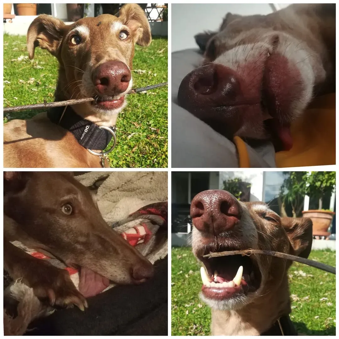 126848621 10157865959557475 7213395378045622512 n