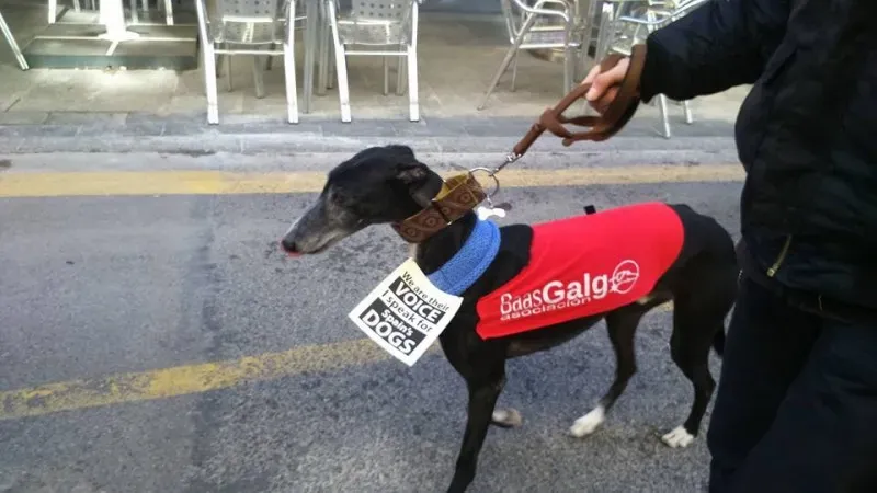 12687805 157239481323190 2952306261742452874 n