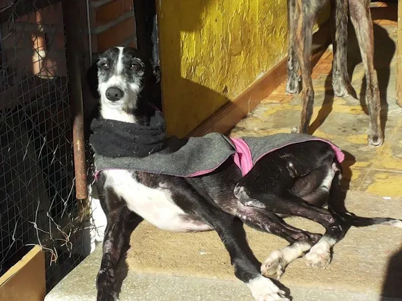 12687852 10207524871753709 6744763159713643578 n