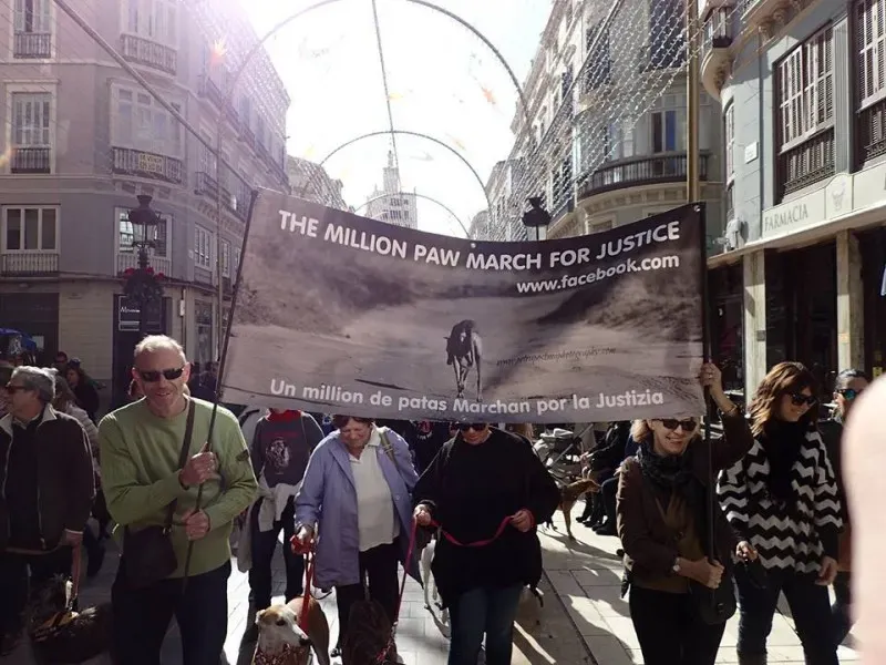 12688062 1166967566649295 5493501884496074150 n