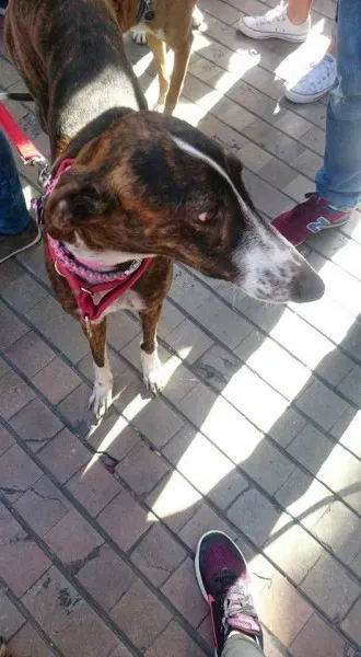 12688329 10208701502521924 7195929826436481759 n