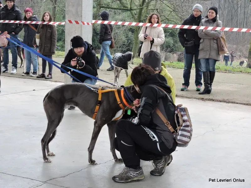 12688347 964392396977949 1526110669664757707 n