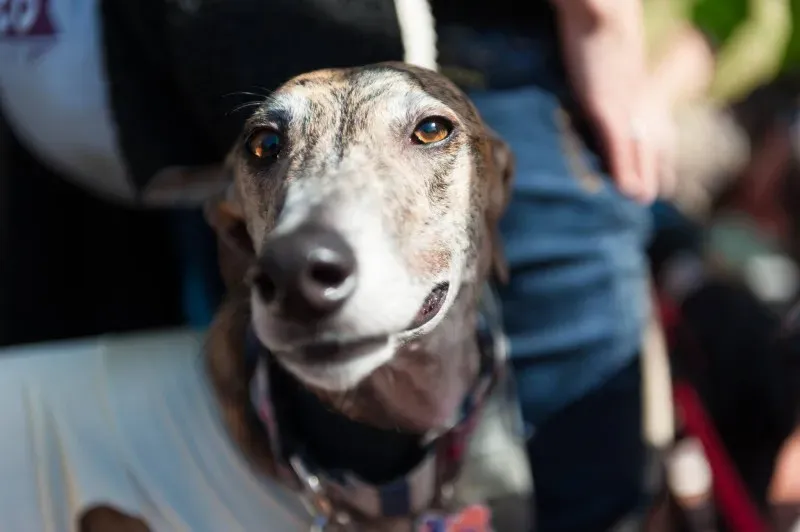 12694506 10208581139751745 2194066021283307536 o